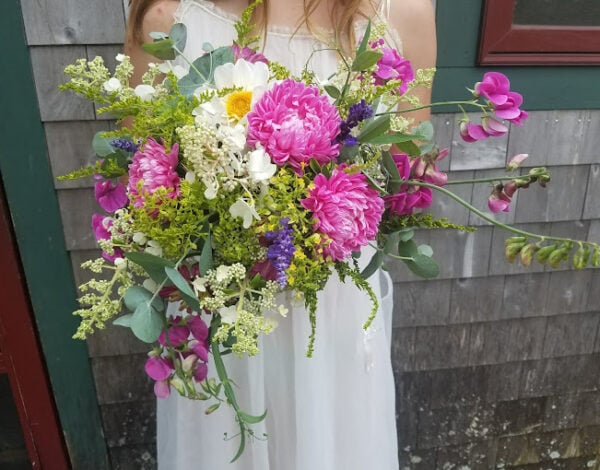Periwinkle Flowers (Formerly Dan’s Flower Farm)