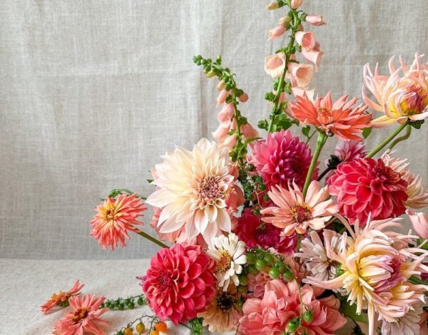 Afterglow Floral