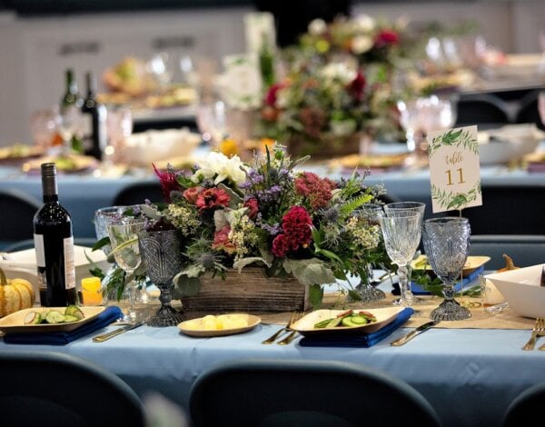 Wild Pine Events & Design