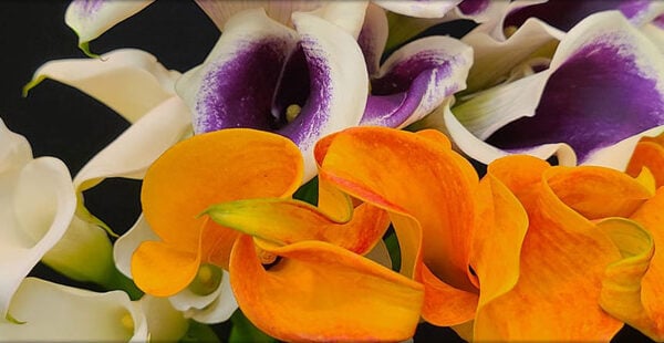 Florist Listing Category Chapel Hill Floral